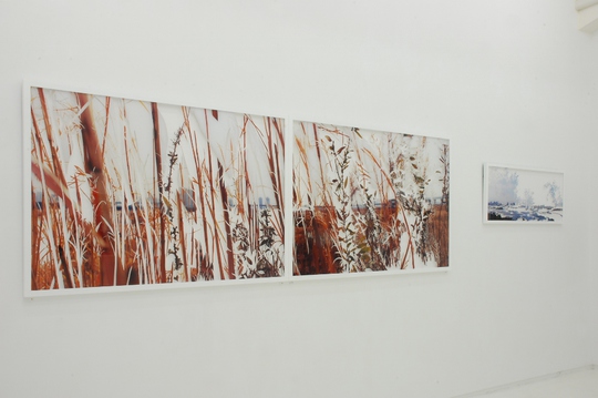 work image